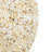 Shell Placemat-61554827