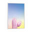 Art my cactus-49839436-49839439
