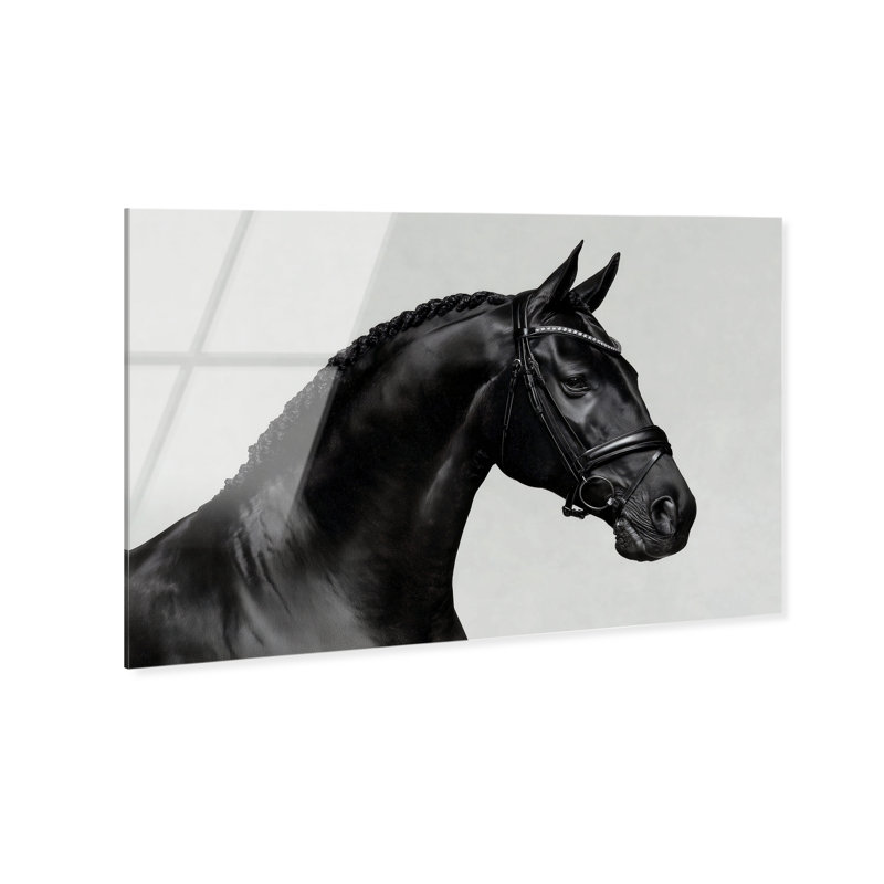 Midnight Majesty I High-Gloss Frameless Acrylic Glass Wall Art Animals Print by Oliver Gal, Ready to Hang, 15 x 10