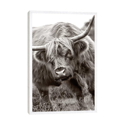 The Bull by Jacky Parker - Print on Canvas