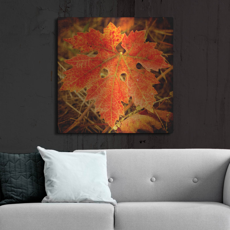 «Ochre feuillage» par Jessica Rogers, art mural en métal, 36 po x 36 po, H 36 po x l 36 po