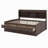 Jaqueze Bookcase Bed