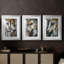 ANIMALS Series Cxxi - Impression encadrée sur mesure de qualité supérieure - 3 pièces-740365869-740365862