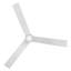 Ventilateur de plafond intelligent DEL Hinkley Speck-108493350-108493351
