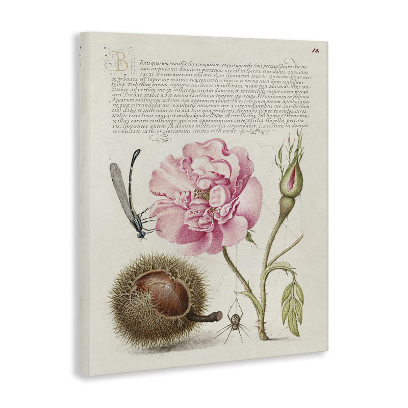 Art antique par Joris Hoefnagel, H 40 po x l 30 po