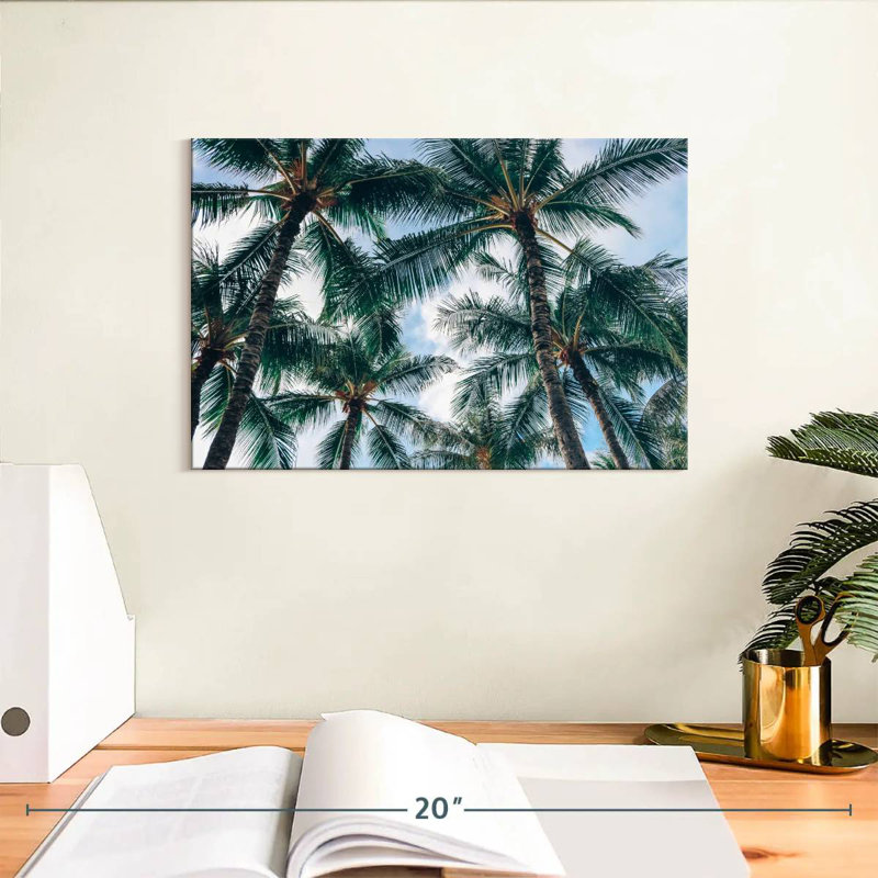 Harnek à Honolulu, H 8 po x l 12 po