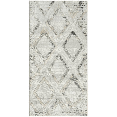 Leuchte 2' x 4' Grey Charcoal Modern Indoor Rug