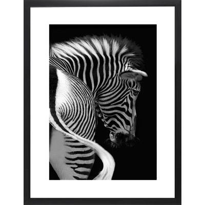 Zebra - Print on Wood