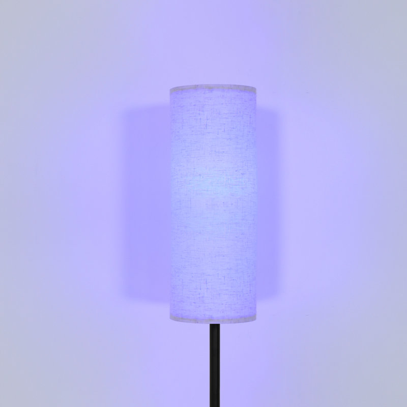 Teulon 67" RGB Column Traditional Floor Lamp with Remote Control and Bulb Included