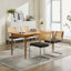 Ensemble de 2 chaises de salle à manger de style Mid-Century rembourrées en rotin-1700562344