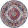 Teshawna Esmay Performance Blue/Red Medallion Rug