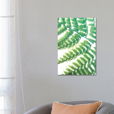 Fern Glow II 1 Piece Wrapped Canvas Painting