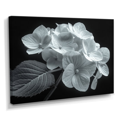 Monochromie élégante silhouette hortensia - impression d'art mural hortensia