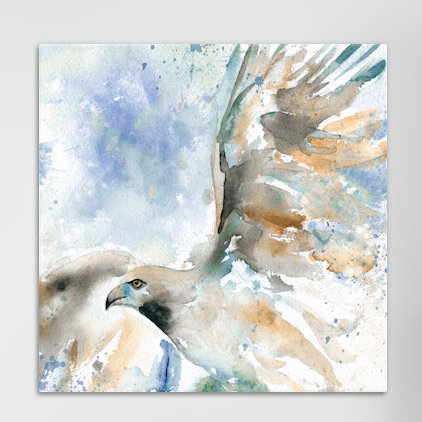 Hawk on blue, impression sur toile tendue, H 16 po x l 16 po x P 1 po, Blanc, Papier avec cadre noir