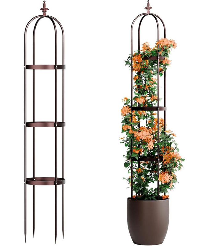 Treillis pour plantes grimpantes Sohvi, Bronze