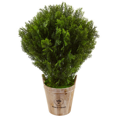 36 " H Faux Cedar Plant