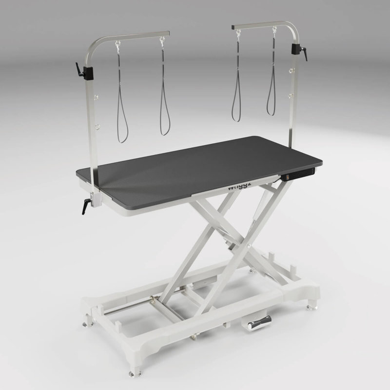 Waggz Step-low White Electric Dog Grooming Table