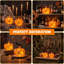 Halloween Decorative Accent