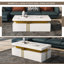 Aftina Coffee Table with Storage-497860283