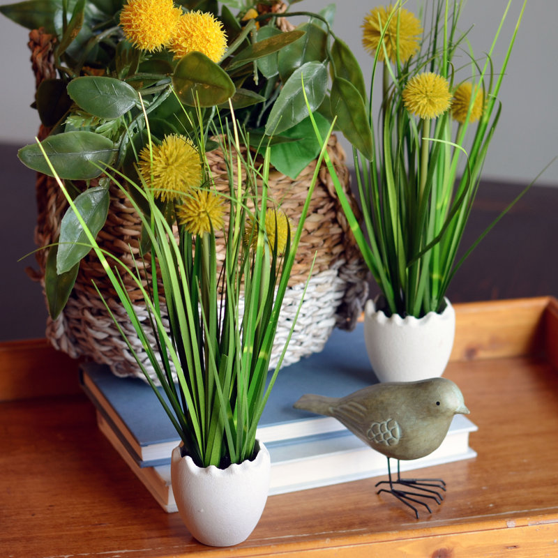 Arrangement floral Pom-Pom Billy-Button en pot