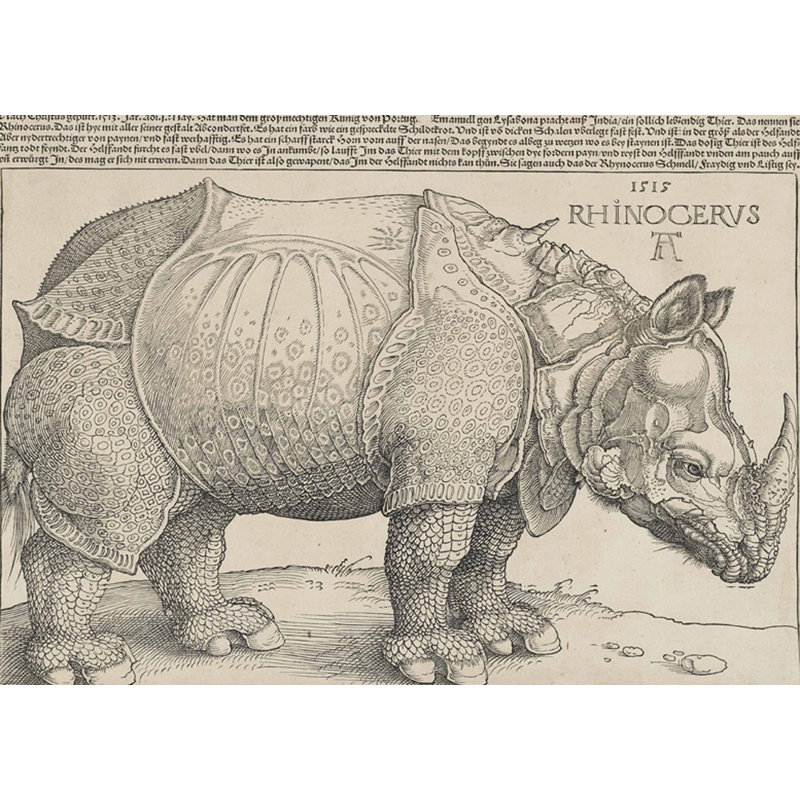 Rhinoceros