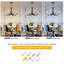 8-Light Crystal Dimmable Classic / Traditional Chandelier