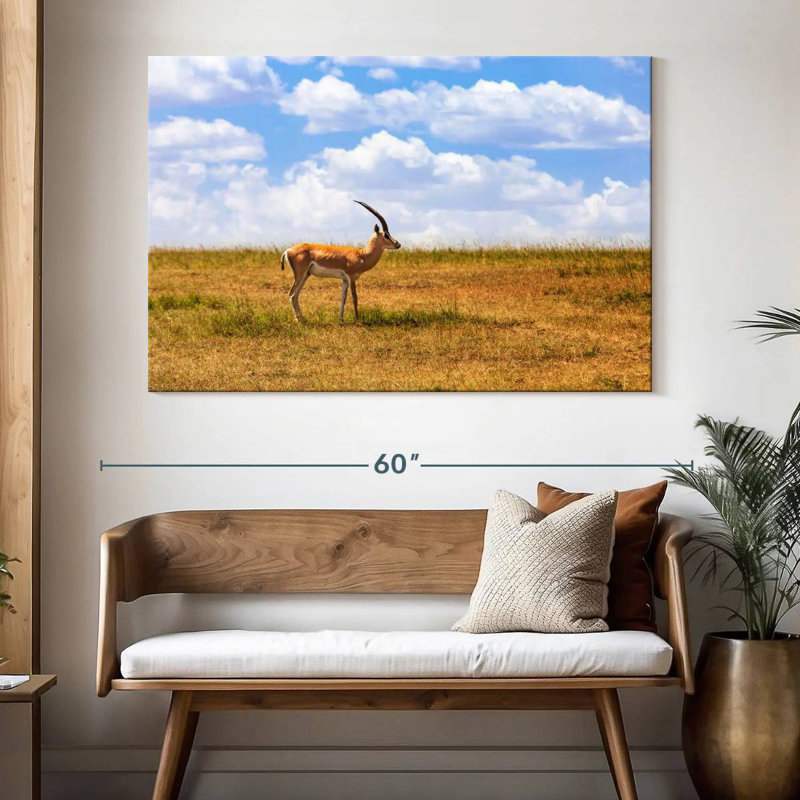 Gazelle Brampt dans la savane, H 34 po x l 51 po