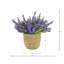 Heather dans un pot de paille-1477215129