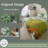 Ordonez Army Green Long-staple Cotton 500 TC 3 Piece Duvet Cover Set-1440575030