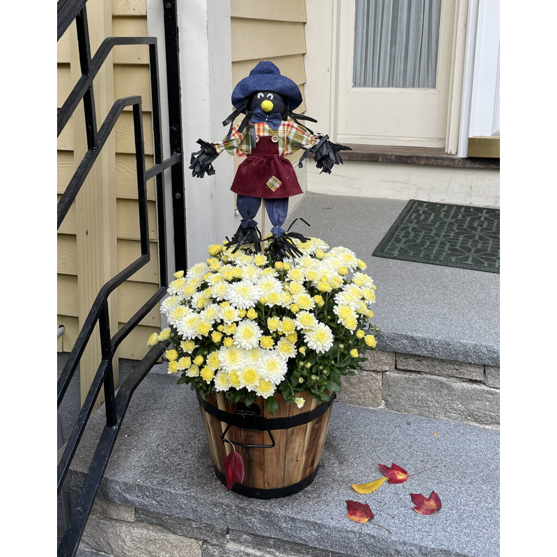 Ensemble de 2 piquets de jardin et de corbeau sur bâton 14 "Erdal
