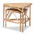 Nancee 20.9'' Tall 3 Legs Rattan End Table Set
