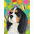 Épagneul cavalier King Charles 3 sélectionné