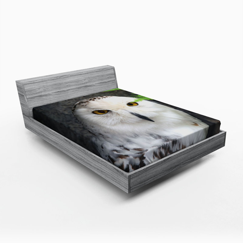 Microfiber Fitted Sheet, Queen Fitted Sheet
