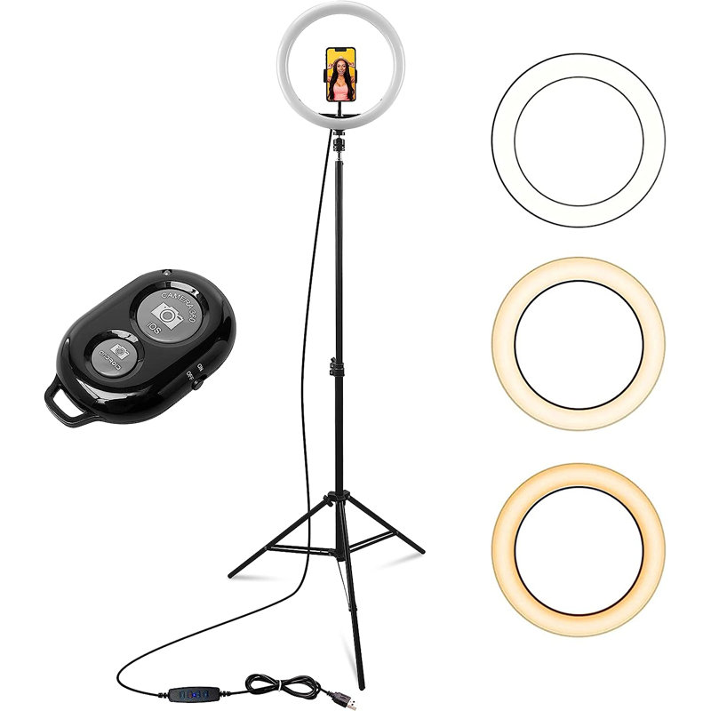 Inbox Zero Single Screen Floor Stand Mount, 65.7'' H x 12'' W