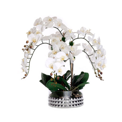 Orchidées phalaenopsis / mousse / cailloux dans un bol en verre argenté Real Touch