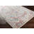 Oriental Indoor Rug-1996598390