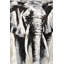 Grayscale Elephant - Framed Matted Print for Home Decor