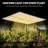 600W Dimmable Full Spectrum LED Grow Light, Sunlike Quantum Board Red & IR, Fanless Indoor Plant Lamp