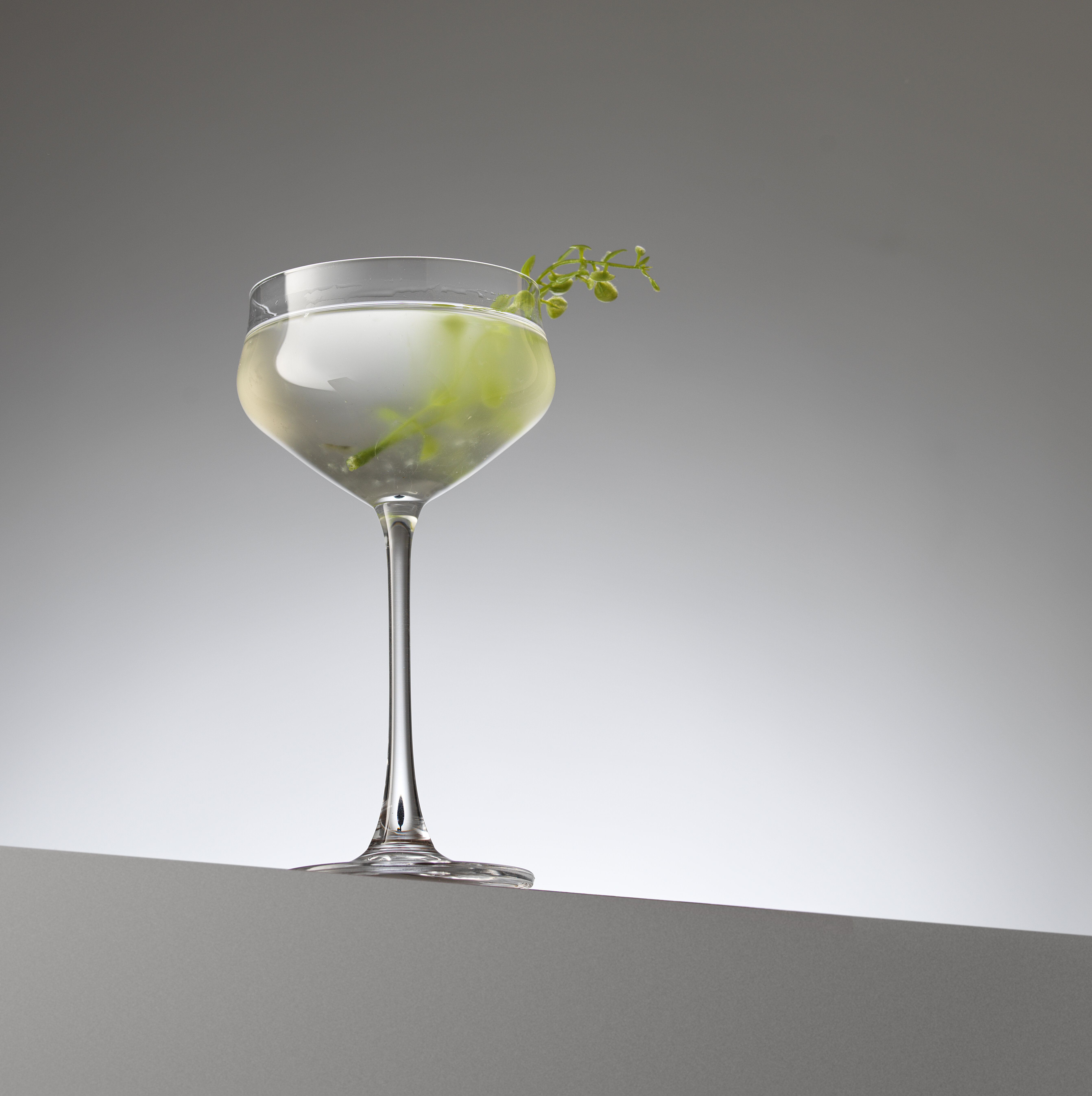 Riedel Cocktail Glass Set Grape @ Riedel Martini 275 mL 2 pieces