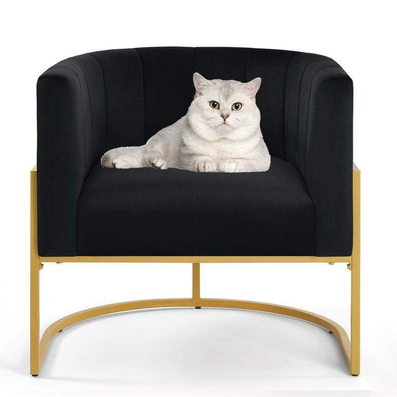 Joemichael Velvet Barrel Chair, Black Velvet