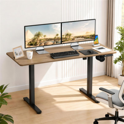 Electric Adjustable Office Desk 48“ / 120cm for Standing & Sit Height adjustable for Home
