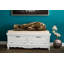 Timothy Upholstered Storage Bench