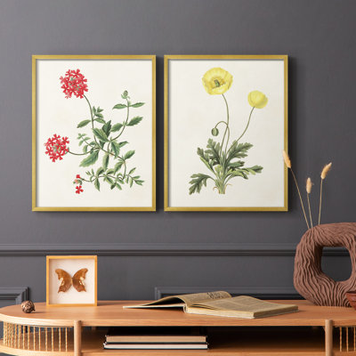 «Flowers of the Seasons», impression encadrée de qualité supérieure - prête à être accrochée - aucun clou requis - aucun clou requis