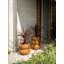 Elho Amber Roll High 43cm-1244501129