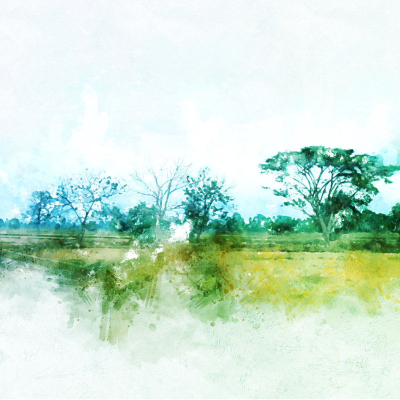 Watercolor Of Tree And Field by Punnarong - Wrapped Canvas Painting, 76cm H x 76cm W