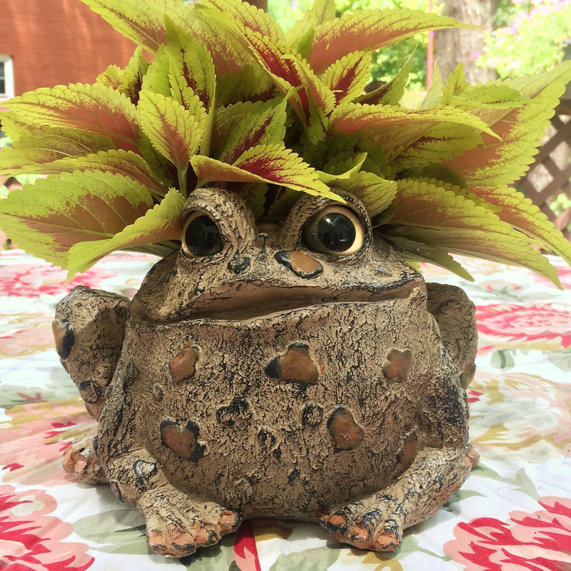 Toad Hollow Handmade Statue Planter, Natural Brown