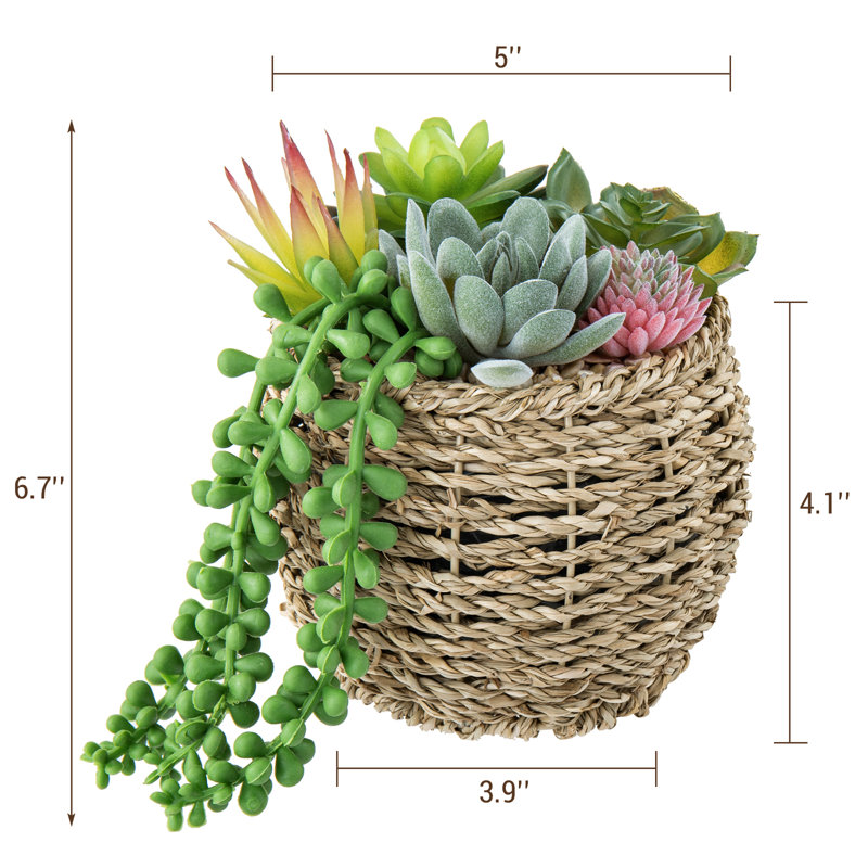 Plante artificielle succulente d'intérieur en pot de rotin