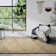  Kollektion 1906 Hand Crafted Hand Loomed Area Rug