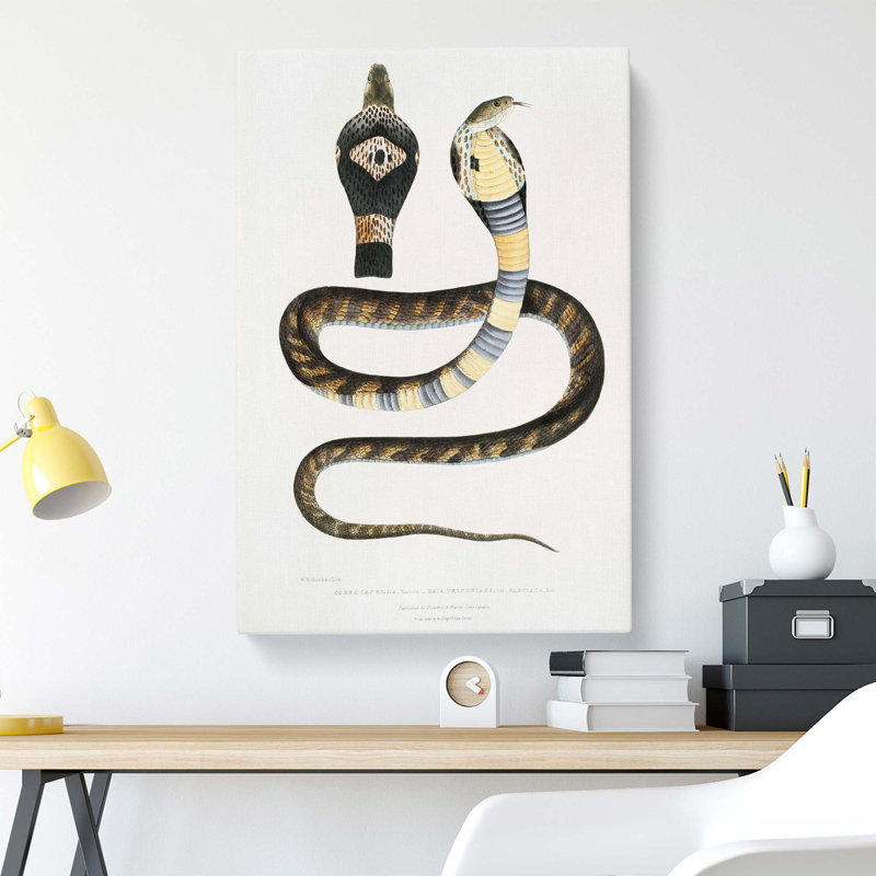 Banded Cobra Capella Snake - Wrapped Canvas Painting, 76 cm H x 50 cm W