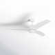 Carly 60'' Ceiling Fan with LED Light Kit